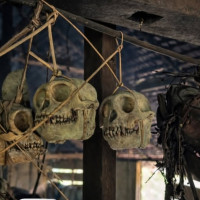 /album/fotogaleria-mentawai-ostrov-ludozrutov-zajazd-vy-a-my/mentaway-siberut-zajazd-jamajkanita-95-jpg/